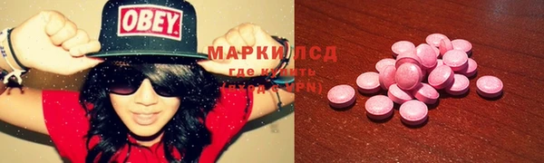 мяу мяу мука Аркадак