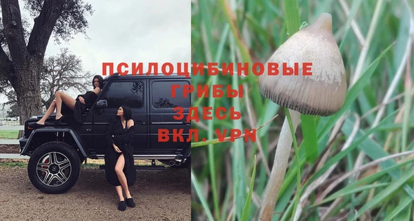 первитин Балахна