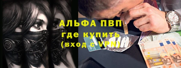 мяу мяу мука Аркадак